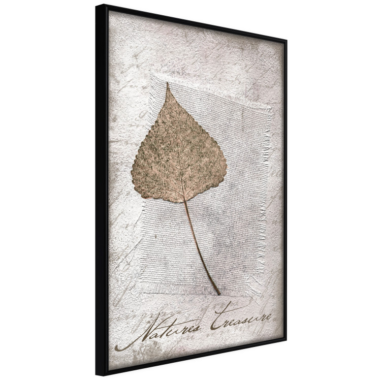 Wall Poster Nature's treasures - vintage composition with a beige leaf and texts 115027 additionalImage 10