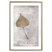 Wall Poster Nature's treasures - vintage composition with a beige leaf and texts 115027 additionalThumb 14