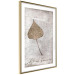 Wall Poster Nature's treasures - vintage composition with a beige leaf and texts 115027 additionalThumb 6