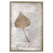Wall Poster Nature's treasures - vintage composition with a beige leaf and texts 115027 additionalThumb 16
