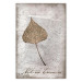 Wall Poster Nature's treasures - vintage composition with a beige leaf and texts 115027