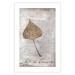 Wall Poster Nature's treasures - vintage composition with a beige leaf and texts 115027 additionalThumb 19
