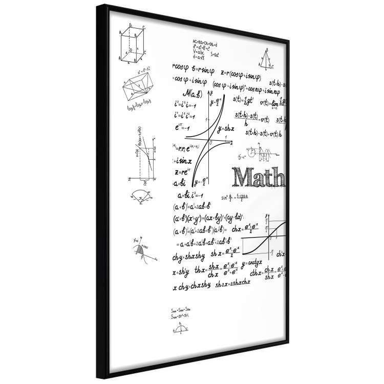 Wall Poster Mathematics - black and white mathematical equations and geometric figures 116327 additionalImage 12