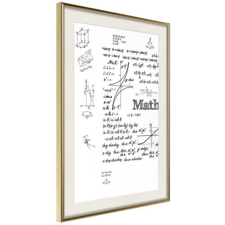 Wall Poster Mathematics - black and white mathematical equations and geometric figures 116327 additionalImage 2