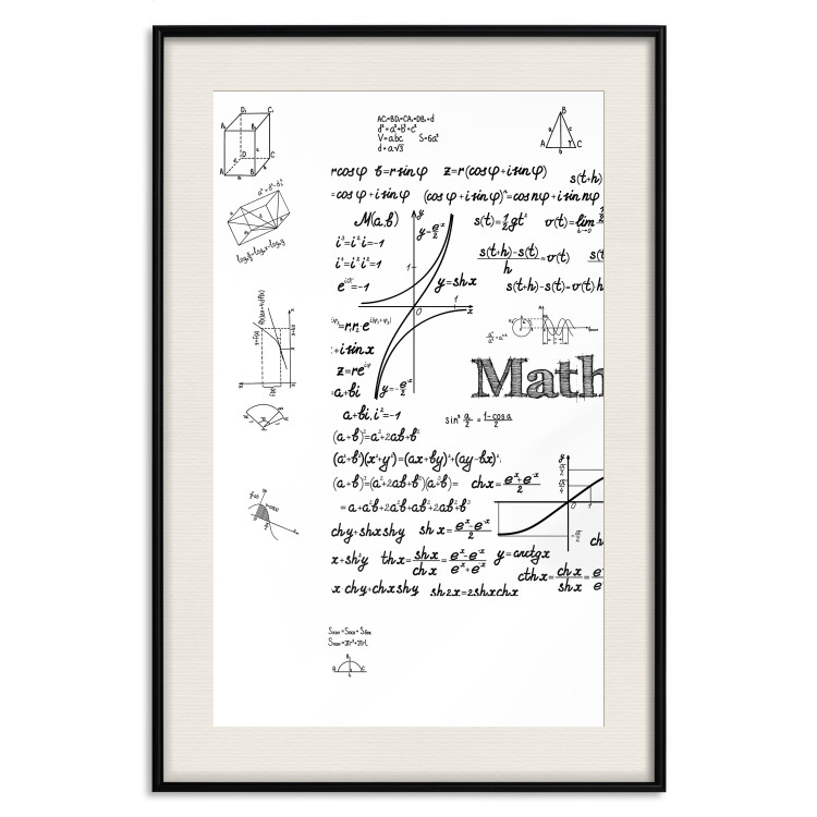 Wall Poster Mathematics - black and white mathematical equations and geometric figures 116327 additionalImage 18