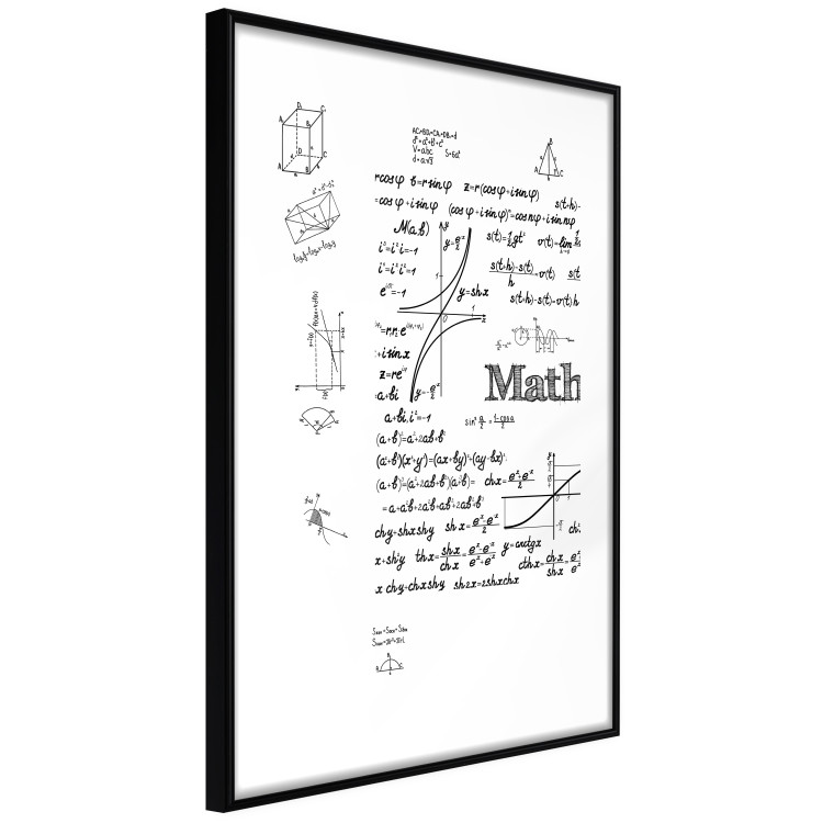 Wall Poster Mathematics - black and white mathematical equations and geometric figures 116327 additionalImage 13
