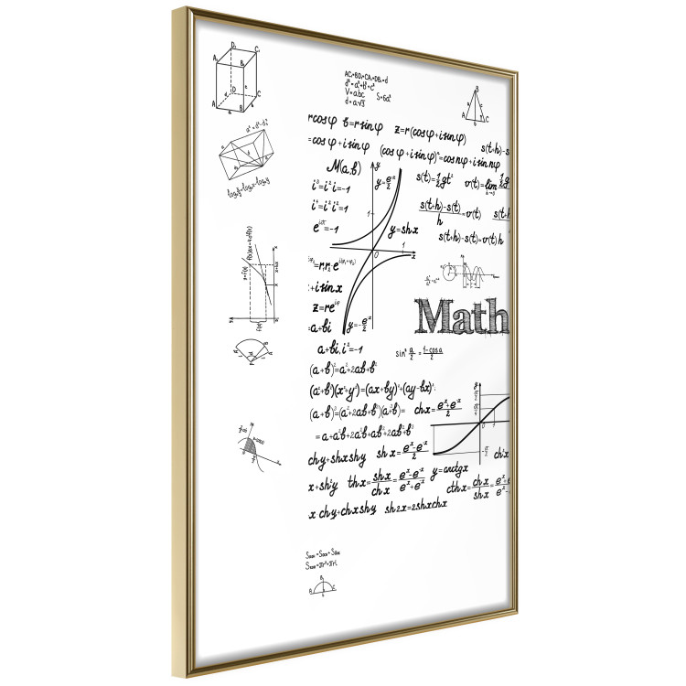 Wall Poster Mathematics - black and white mathematical equations and geometric figures 116327 additionalImage 12
