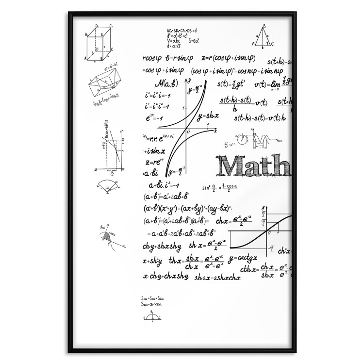 Wall Poster Mathematics - black and white mathematical equations and geometric figures 116327 additionalImage 24