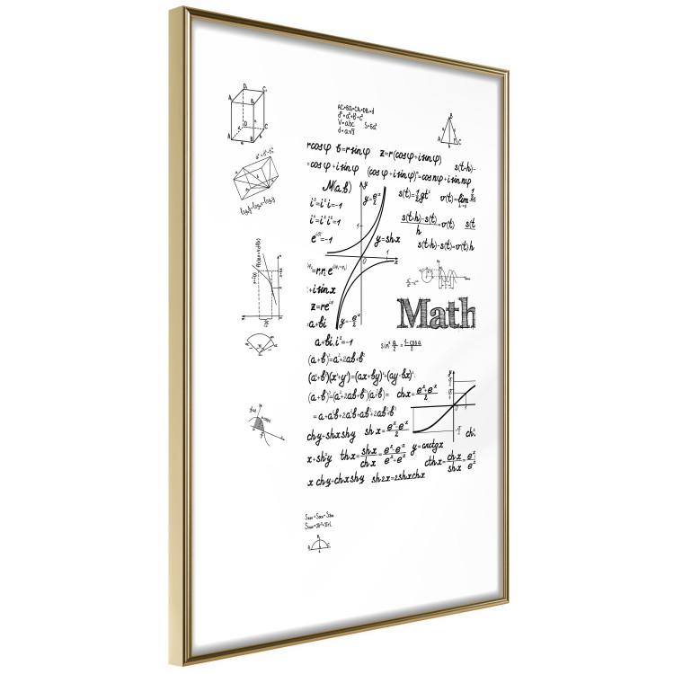 Wall Poster Mathematics - black and white mathematical equations and geometric figures 116327 additionalImage 6