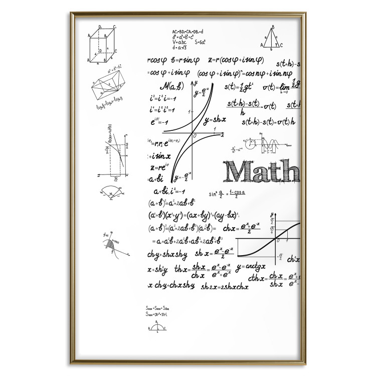Wall Poster Mathematics - black and white mathematical equations and geometric figures 116327 additionalImage 20