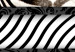 Canvas Art Print Zebra in Stripes (1-part) - Animal in Black and White Pattern 116427 additionalThumb 4