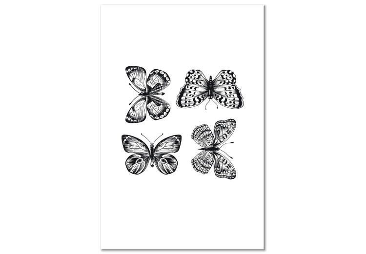 Canvas Print Butterfly family - four black and white butterflies in line art style 116927