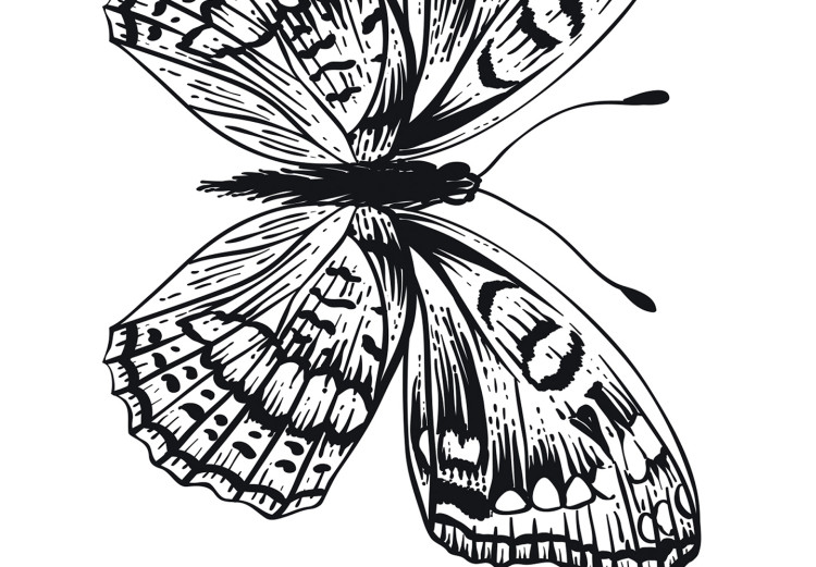 Canvas Print Butterfly family - four black and white butterflies in line art style 116927 additionalImage 5