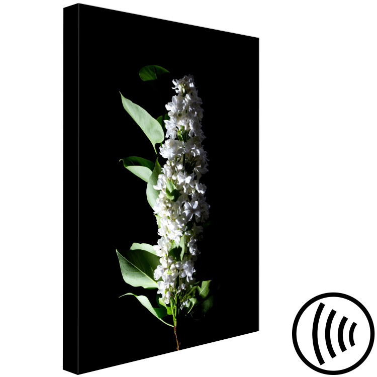 Canvas Art Print May decoration - photo of a white lilac flower and leaves on black 121627 additionalImage 6