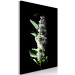Canvas Art Print May decoration - photo of a white lilac flower and leaves on black 121627 additionalThumb 2