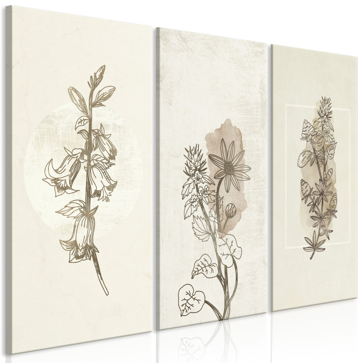 Canvas Art Print Herbarium (3 Parts) 125727 additionalImage 2