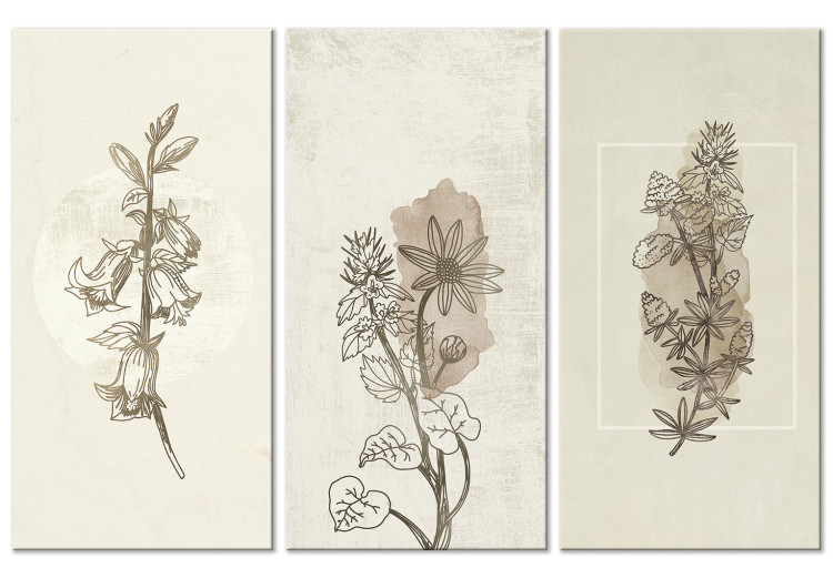 Canvas Art Print Herbarium (3 Parts) 125727