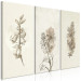 Canvas Art Print Herbarium (3 Parts) 125727 additionalThumb 2