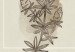 Canvas Art Print Herbarium (3 Parts) 125727 additionalThumb 4