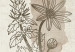 Canvas Art Print Herbarium (3 Parts) 125727 additionalThumb 5