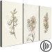 Canvas Art Print Herbarium (3 Parts) 125727 additionalThumb 6