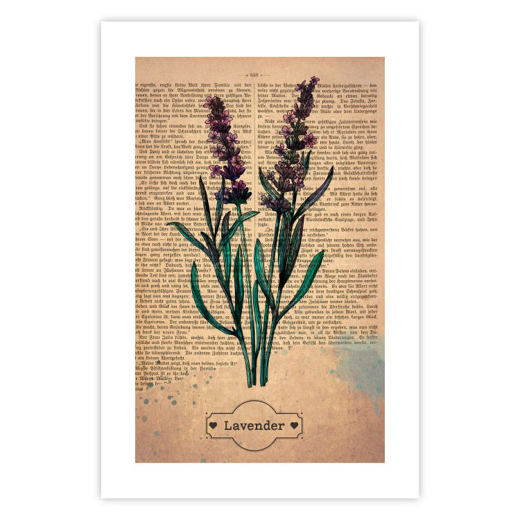 Poster Lavender Memory - composition with blooming plants and text in background 129427 additionalImage 25
