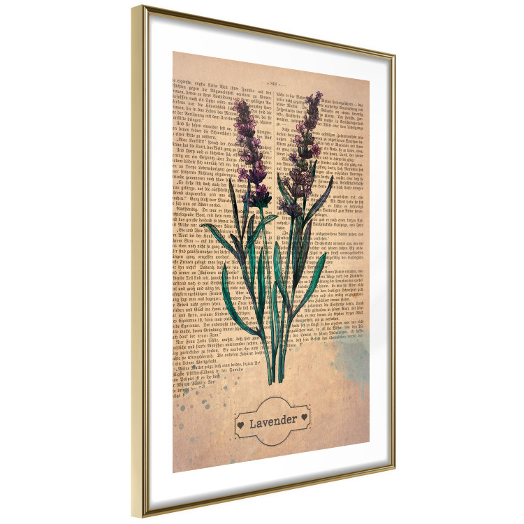 Poster Lavender Memory - composition with blooming plants and text in background 129427 additionalImage 4