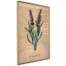 Poster Lavender Memory - composition with blooming plants and text in background 129427 additionalThumb 8