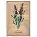 Poster Lavender Memory - composition with blooming plants and text in background 129427 additionalThumb 17