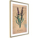 Poster Lavender Memory - composition with blooming plants and text in background 129427 additionalThumb 6