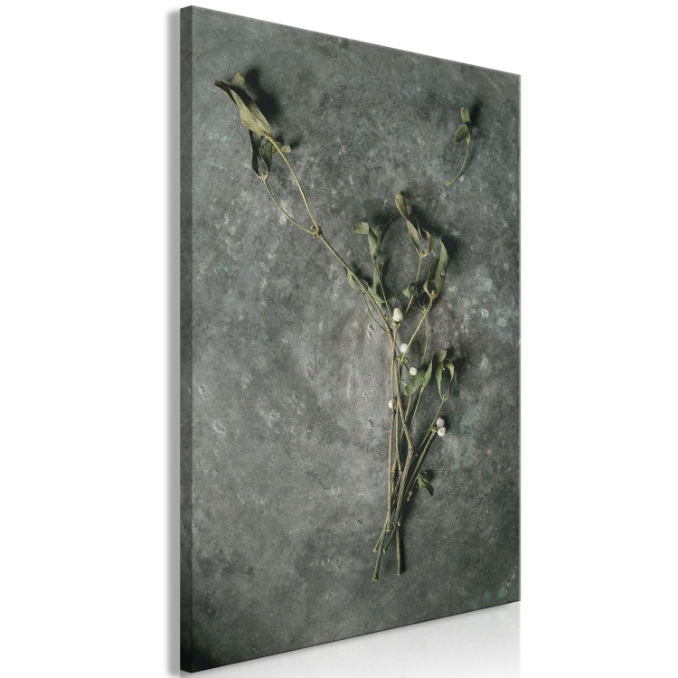 Canvas Art Print Dried mistletoe - a winter botanical photograph on a grey stone 130727 additionalImage 2