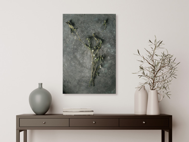 Canvas Art Print Dried mistletoe - a winter botanical photograph on a grey stone 130727 additionalImage 3