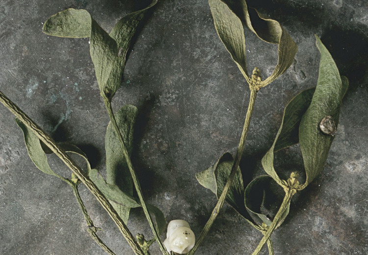Canvas Art Print Dried mistletoe - a winter botanical photograph on a grey stone 130727 additionalImage 5