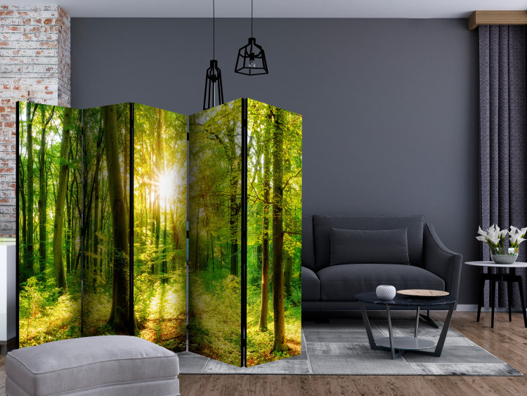Folding Screen Rays of the Forest II - landscape of forest vegetation and sun rays 133827 additionalImage 4
