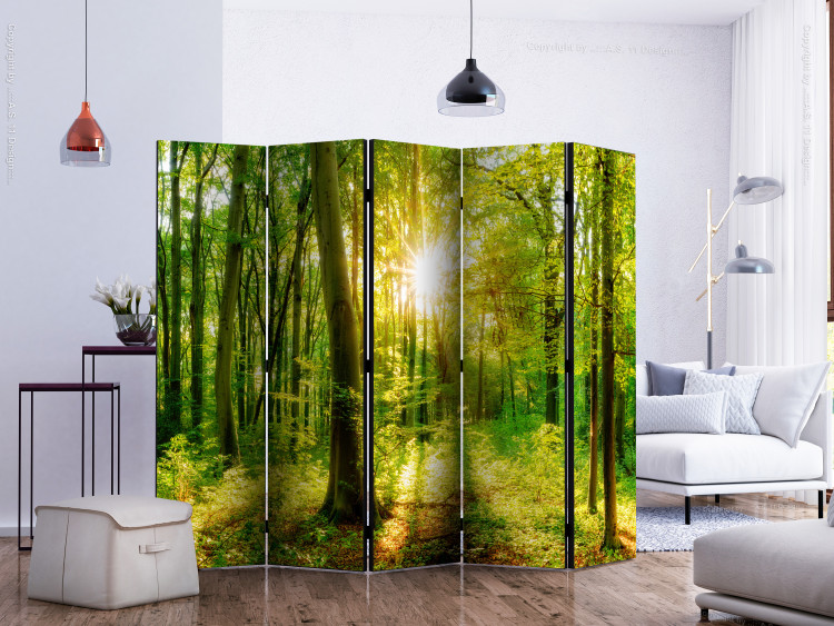 Folding Screen Rays of the Forest II - landscape of forest vegetation and sun rays 133827 additionalImage 2