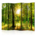 Folding Screen Rays of the Forest II - landscape of forest vegetation and sun rays 133827