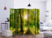 Folding Screen Rays of the Forest II - landscape of forest vegetation and sun rays 133827 additionalThumb 2
