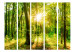 Folding Screen Rays of the Forest II - landscape of forest vegetation and sun rays 133827 additionalThumb 3