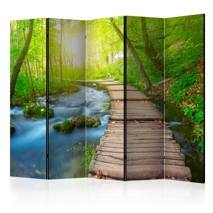 Folding Screen Green Forest II - landscape of a wooden bridge in the forest against the sun's glare 134027