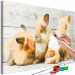 Paint by Number Kit Four Bunnies 134527 additionalThumb 3