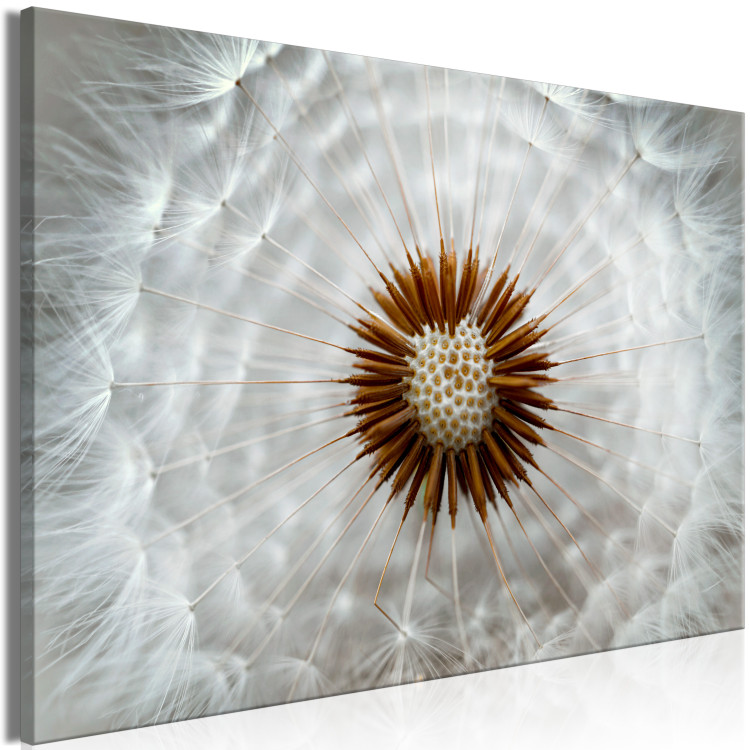 Canvas Gust of Lightness (1-piece) Wide - dandelion bloom in close-up 136027 additionalImage 2