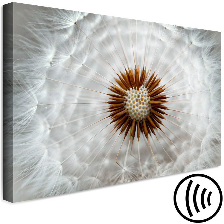 Canvas Gust of Lightness (1-piece) Wide - dandelion bloom in close-up 136027 additionalImage 6