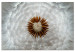 Canvas Gust of Lightness (1-piece) Wide - dandelion bloom in close-up 136027