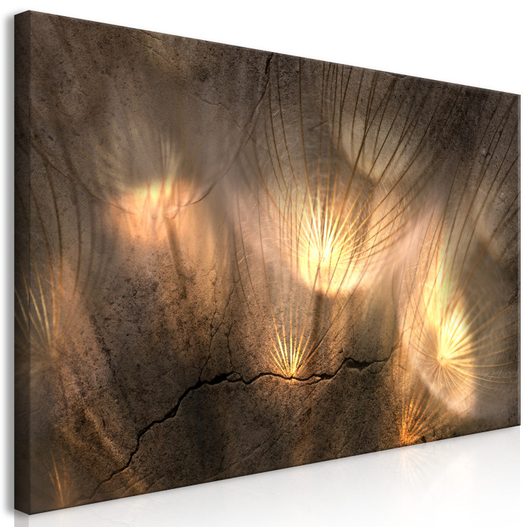Canvas Print Falling Rays (1-piece) Wide - abstraction in dandelion 143127 additionalImage 2