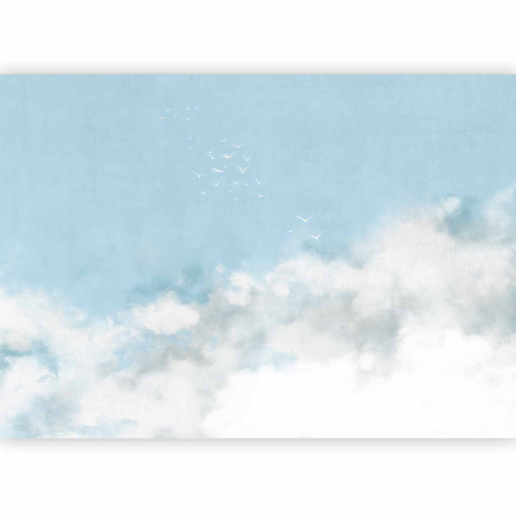 Photo Wallpaper Blue sky - delicate landscape with white birds and clouds motif 143427 additionalImage 1