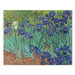 Reproduction Painting Irises 150427