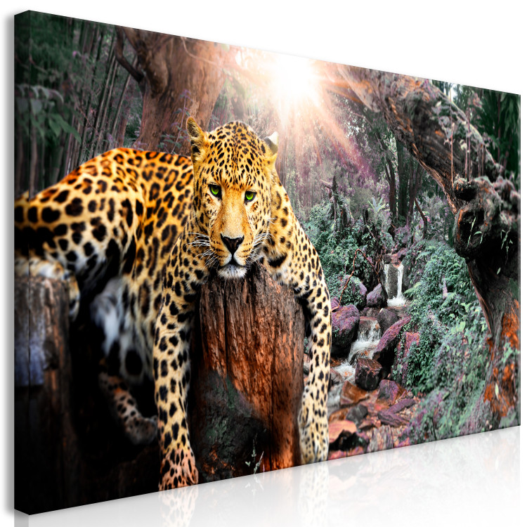 Large canvas print Wild Cat's Rest II [Large Format] 150727 additionalImage 2