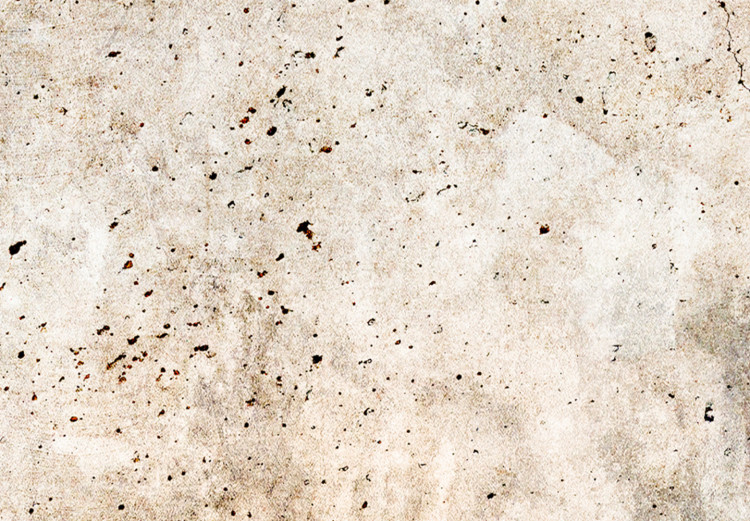 Canvas Rust Texture - An Abstract Composition in Shades of Pastel Brown 151427 additionalImage 5