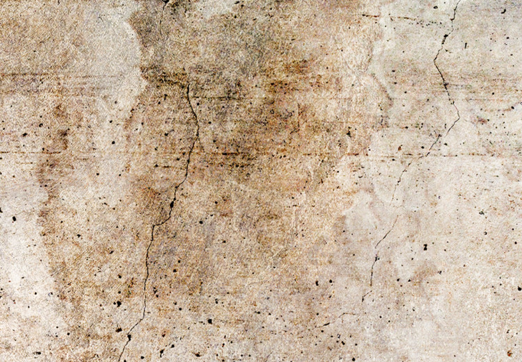 Canvas Rust Texture - An Abstract Composition in Shades of Pastel Brown 151427 additionalImage 4