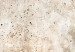 Canvas Rust Texture - An Abstract Composition in Shades of Pastel Brown 151427 additionalThumb 5